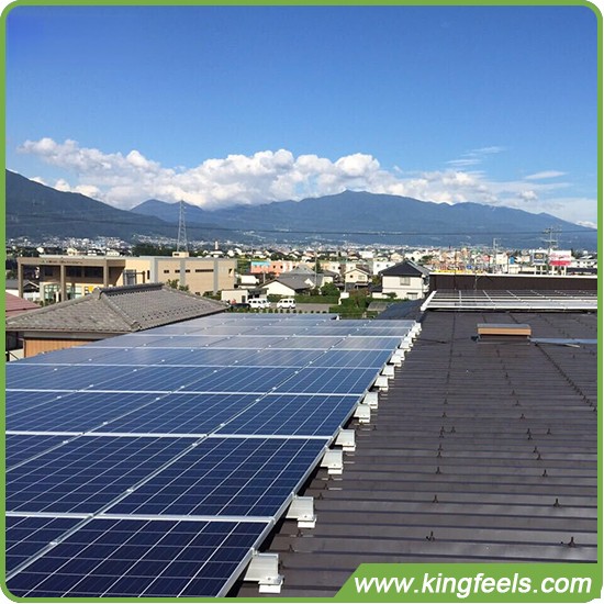 تنمو مشاريع الطاقة الشمسية المجتمعية في هولندا
